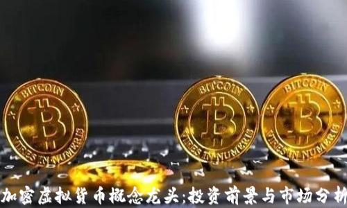 
加密虚拟货币概念龙头：投资前景与市场分析