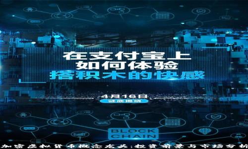 
加密虚拟货币概念龙头：投资前景与市场分析