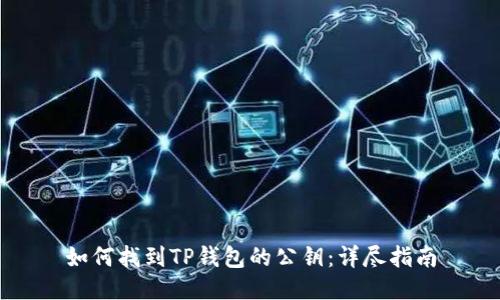 如何找到TP钱包的公钥:详尽指南