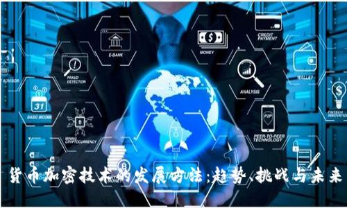 货币加密技术的发展方法:趋势、挑战与未来