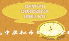 : 深入解析TP钱包中虚拟币价格异常现象及其背后