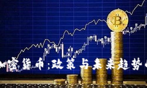 中央讨论加密货币：政策与未来趋势的深入分析