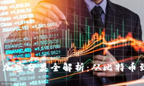 2023年数字货币加密分类全解析：从比特币到代币的全面指南