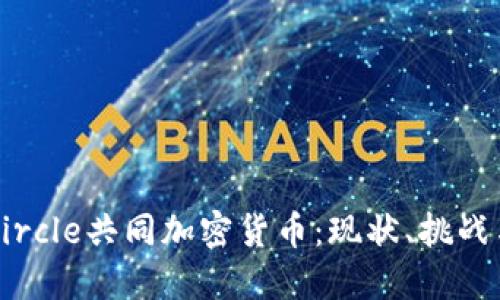 深入探讨Circle共同加密货币：现状、挑战与未来展望
