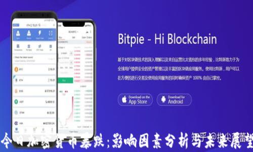 
今日加密货币暴跌：影响因素分析与未来展望