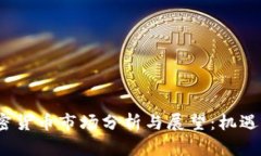 2020年加密货币市场分析与展望：机遇与挑战并存
