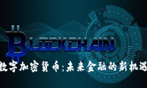 : MGK数字加密货币:未来金融的新机遇与挑战