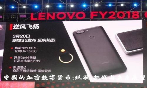 中国的加密数字货币：现状、挑战与未来展望