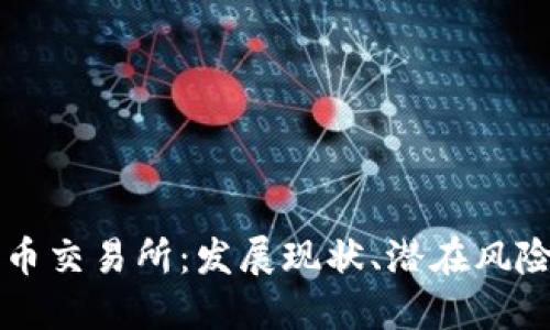 沙特加密货币交易所：发展现状、潜在风险与未来展望