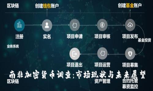 南非加密货币调查：市场现状与未来展望