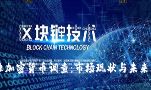 南非加密货币调查：市场现状与未来展望