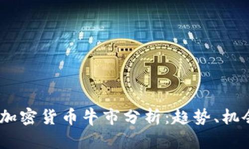 2023年加密货币牛市分析：趋势、机会与风险