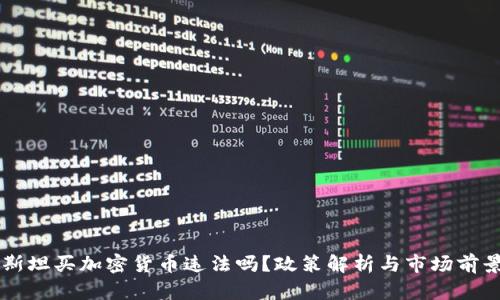巴基斯坦买加密货币违法吗？政策解析与市场前景分析