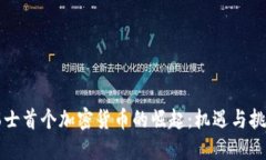 瑞士首个加密货币的崛起：机遇与挑战