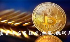 优质乌克兰加密货币应用程度：机遇、挑战与未