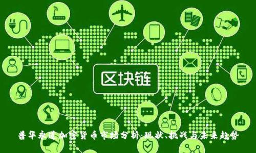 普华永道加密货币市场分析：现状、挑战与未来趋势