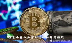 探索小货币加密市场的机遇与挑战