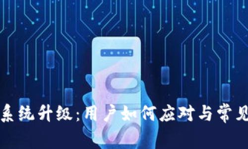 : TP钱包系统升级:用户如何应对与常见问题解析