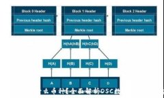   TP钱包DSC是什么币种？全面解析DSC数字资产及其