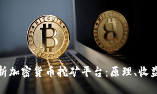 全面解析加密货币挖矿平台:原理、收益与风险