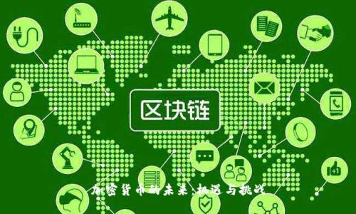 加密货币的未来:机遇与挑战