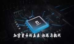 加密货币的未来：机遇与挑战