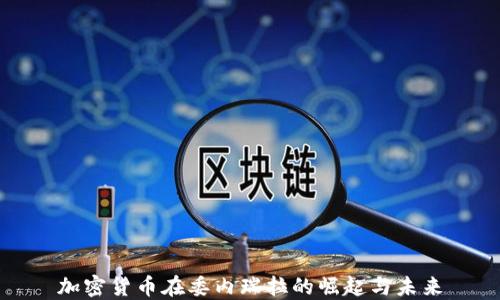 加密货币在委内瑞拉的崛起与未来