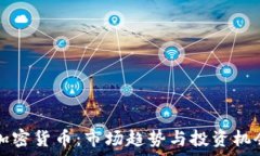   深度解析加密货币：市场趋势与投资机会视频分