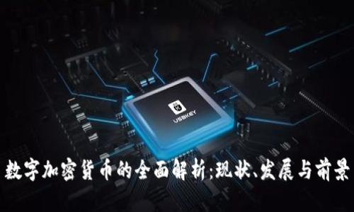 数字加密货币的全面解析：现状、发展与前景
