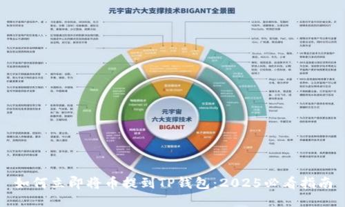 如何立即将币提到TP钱包：2025必看指南