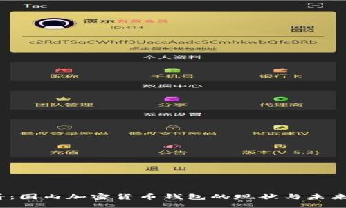 2025必看：国内加密货币钱包的现状与未来发展趋势