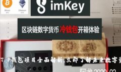2025必看：T P钱包项目全面解析，立即了解未来数