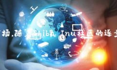 在TP钱包（TokenPocket）中，SHIB指的是Shiba Inu代币。